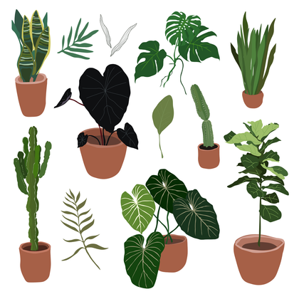 Illustrated Plants Pack - Free Download – Studio Alternativi