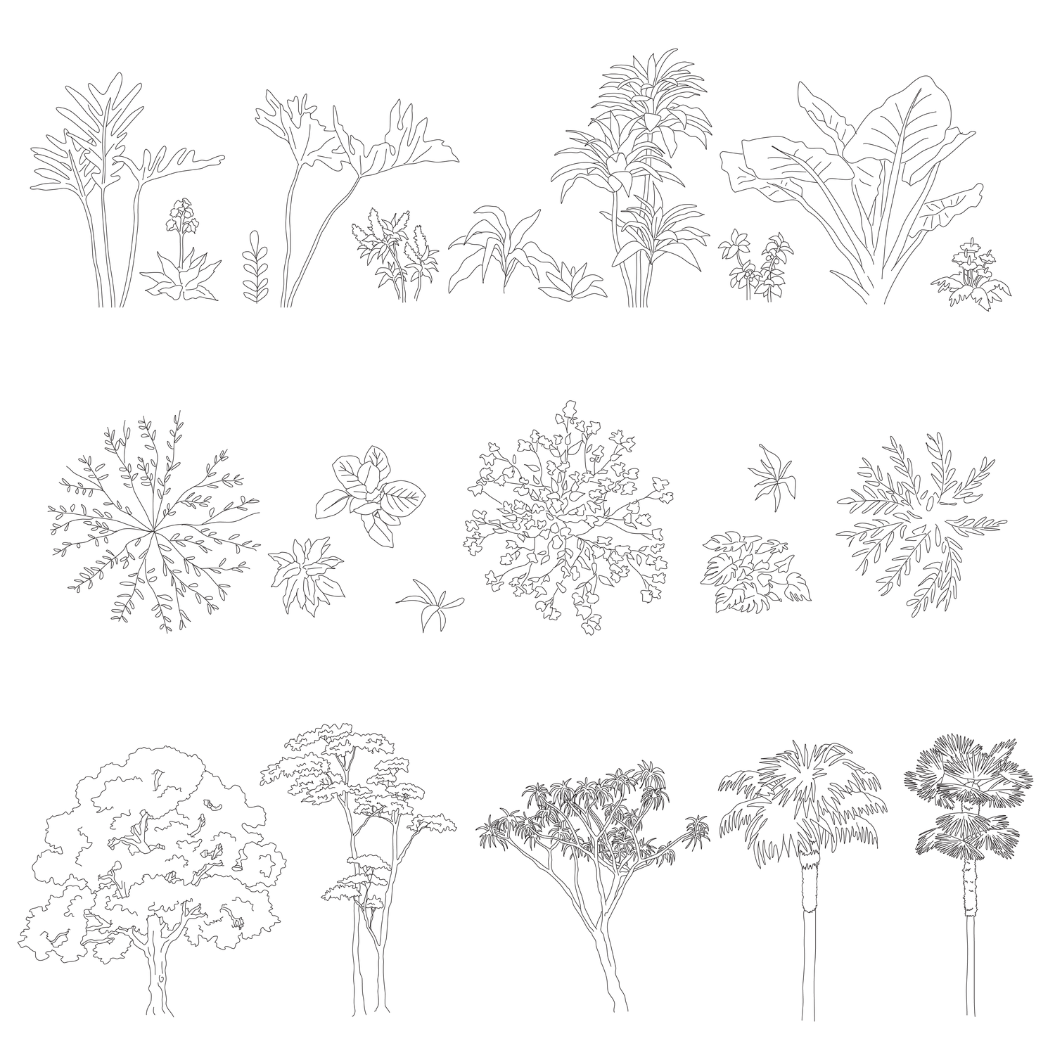 CAD Trees & Plants Vectors by Cad Lab Studio – Studio Alternativi