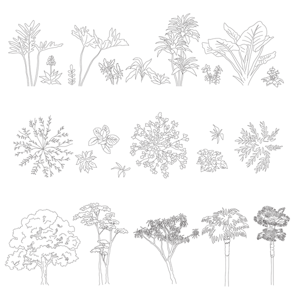 Vector & Cad Trees And Plants - Free Download – Studio Alternativi