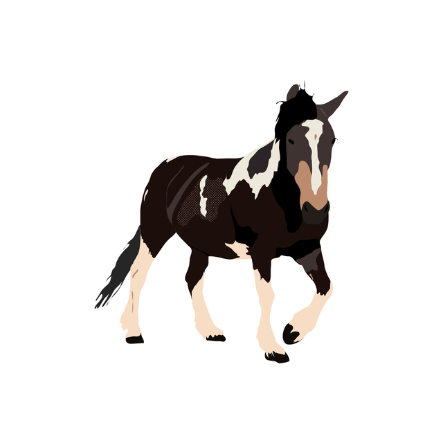 vector horse