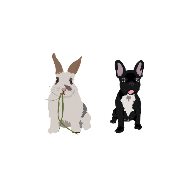 rabbit and dog vector