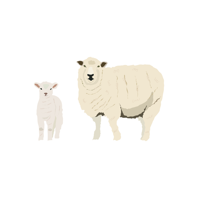 vector sheep free download