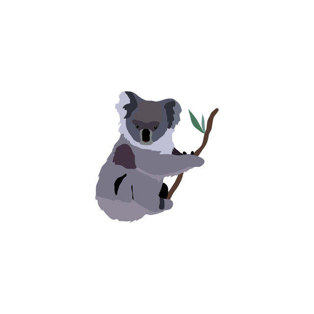 vector koala