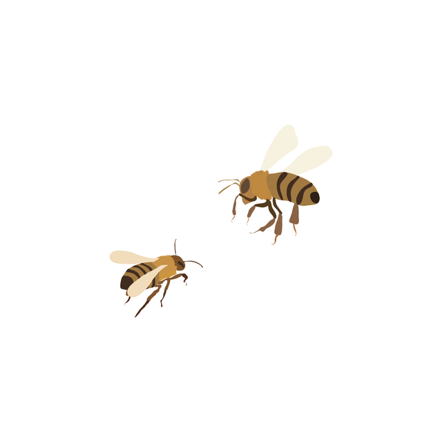 vector bees free download