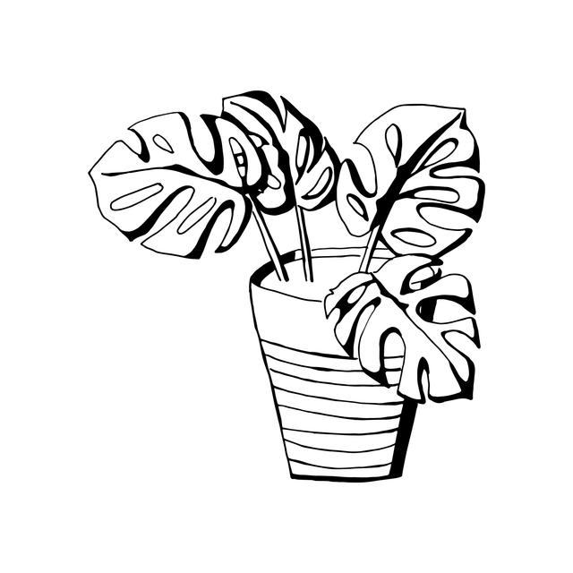 hand drawn vector plants