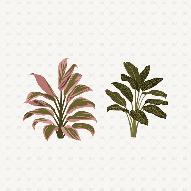 vector indoor and outdoor plants and trees