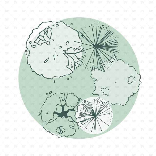 Vector Trees in Plan View (49 Trees)
