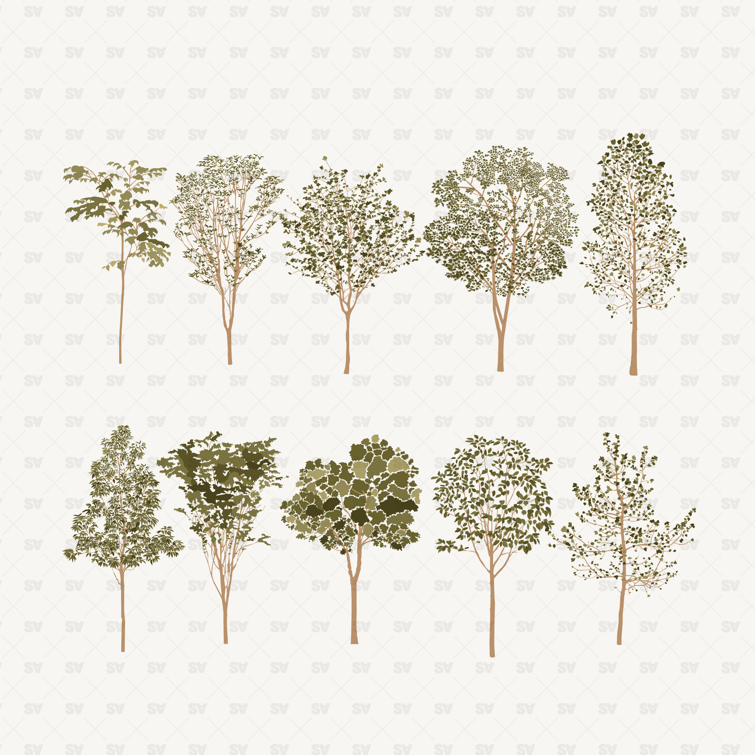 Vector Trees - Perfect for Architecture – Studio Alternativi
