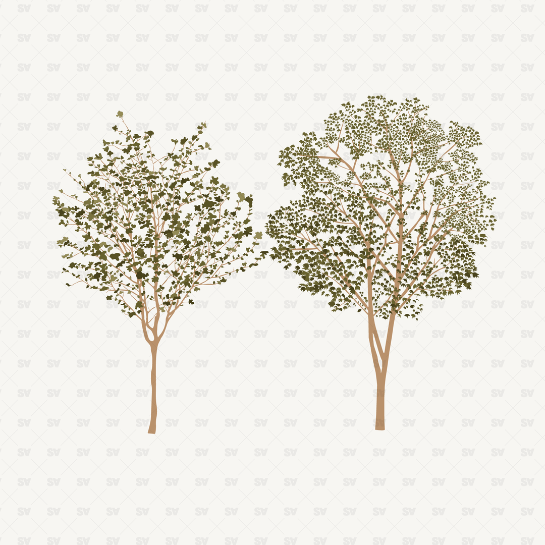 Vector Trees - Perfect for Architecture – Studio Alternativi