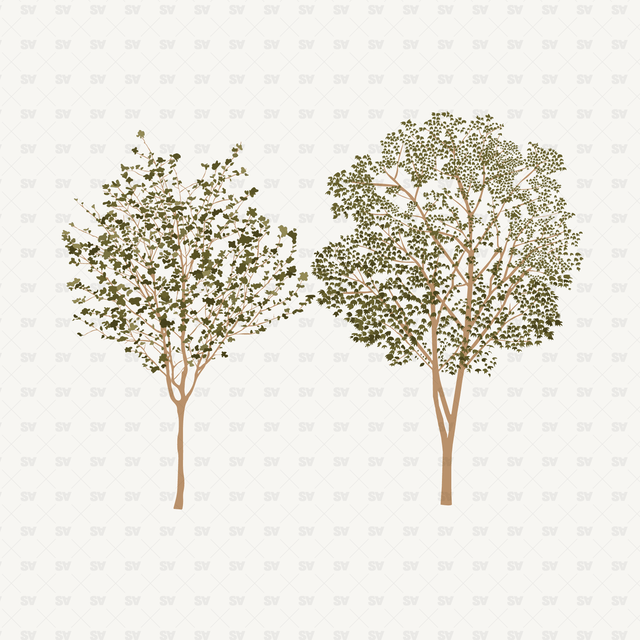 vector trees download