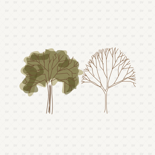 Vector Architectural Trees