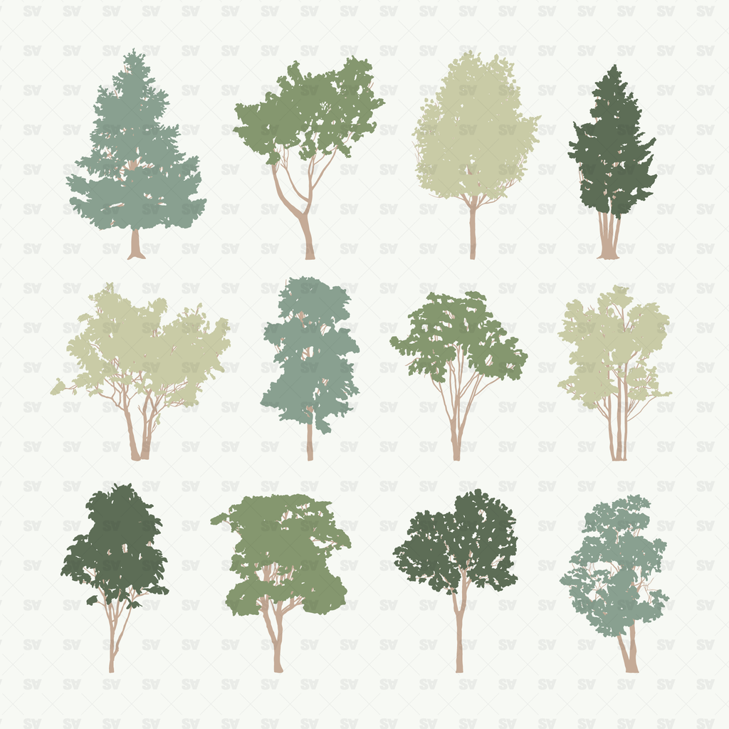 Vector Trees | AI PNG | Architecture | Studio Alternativi