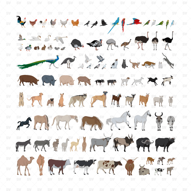 Domestic Animals & Birds Mega Pack (100 Figures)