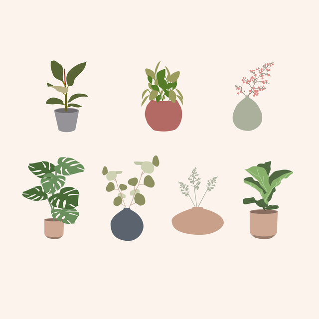 vector plants 