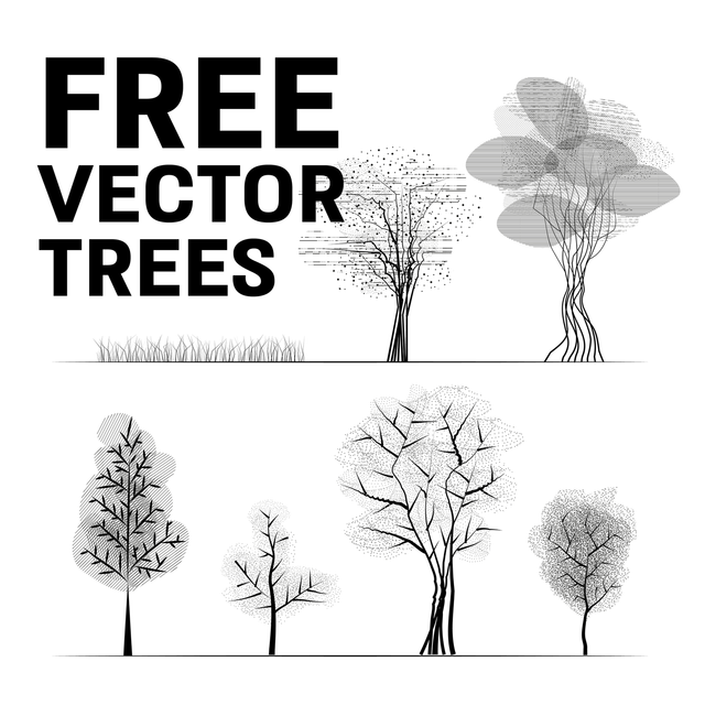 Tree Analysis Vector Trees Vector Free Download