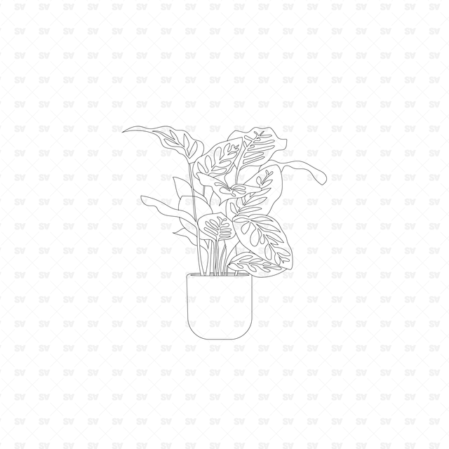Vector Potted Plants