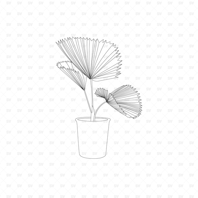 Vector Potted Plants