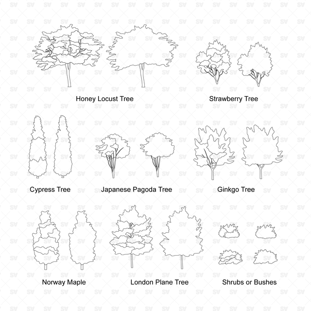 CAD Trees 