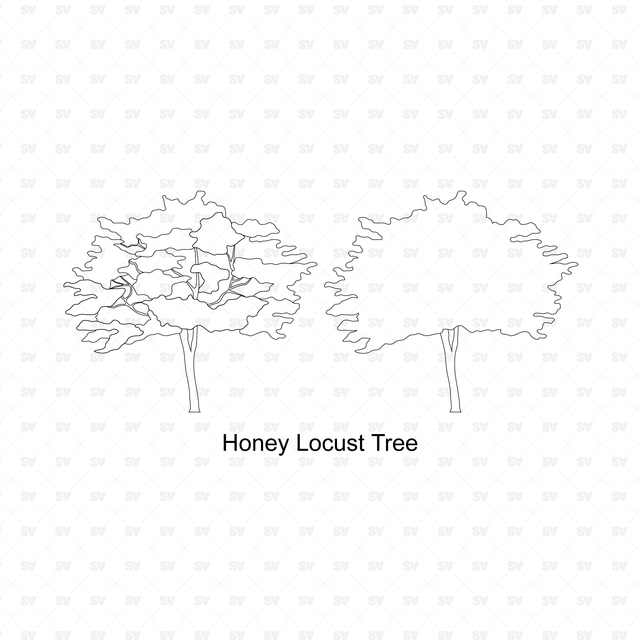 CAD Trees 