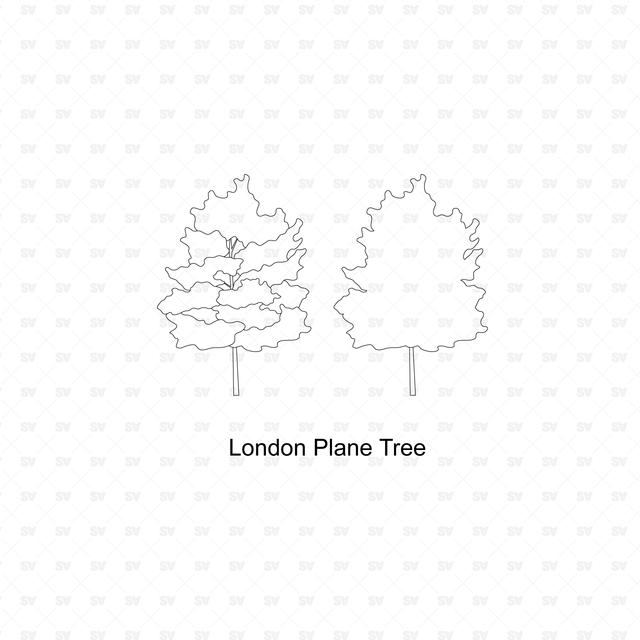 CAD Trees 