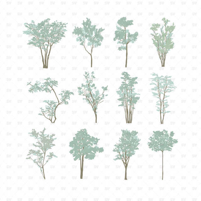 Vector & PNG Trees Set Vol. 2 (12 figures)