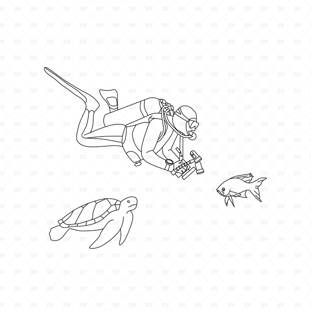 CAD & Vector Divers Set (Top View, Side View, Bottom View)