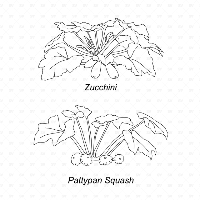 CAD & Vector Vegetable Plants Mega-Pack