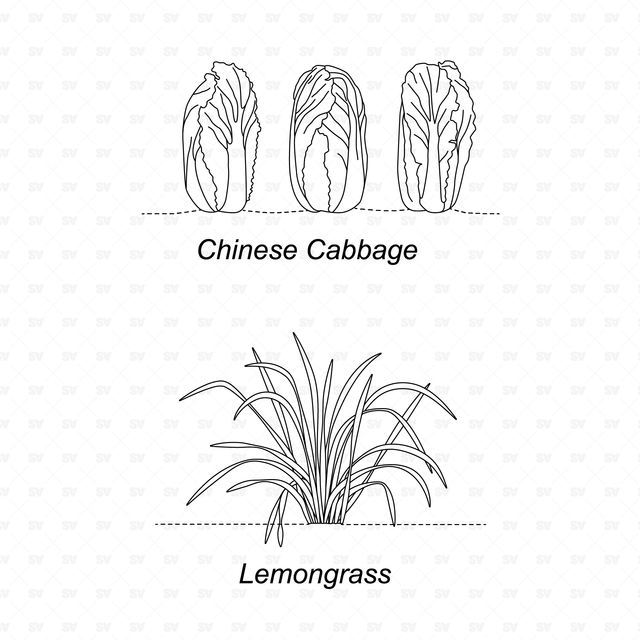 CAD & Vector Vegetable Plants Mega-Pack