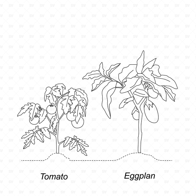 CAD & Vector Vegetable Plants Mega-Pack