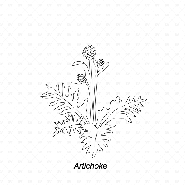 CAD & Vector Vegetable Plants Mega-Pack