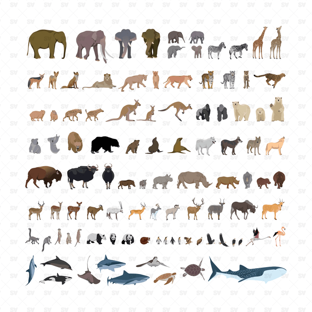 Wild Animals & Birds Mega Pack (100 Figures)