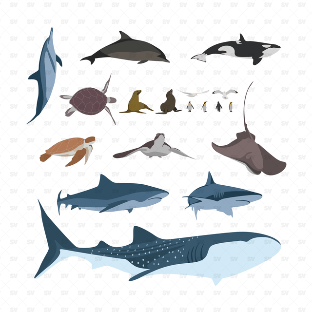 Marine Animals & Birds (18 Figures)