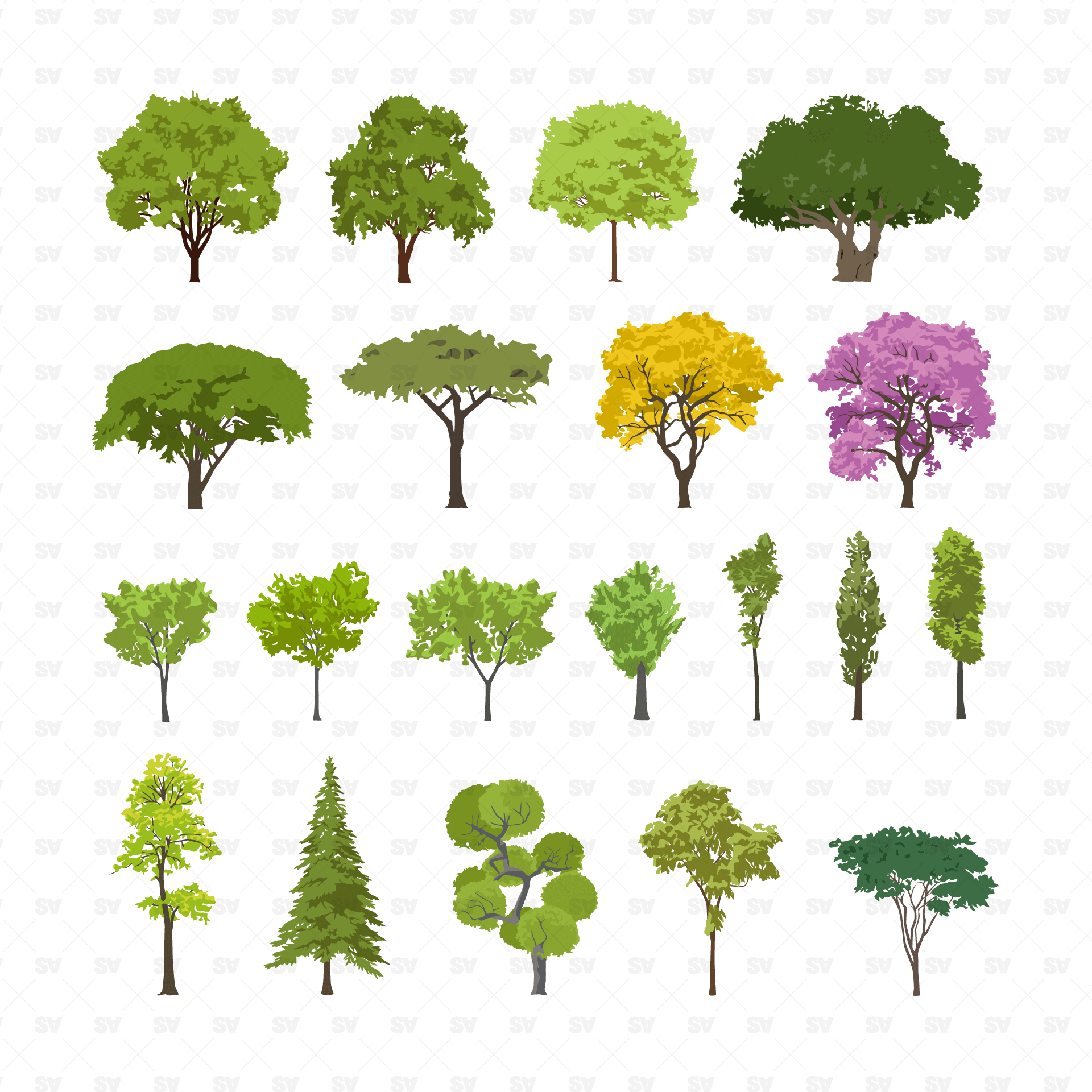 Common Trees Pack - 20 Vector Figures – Studio Alternativi
