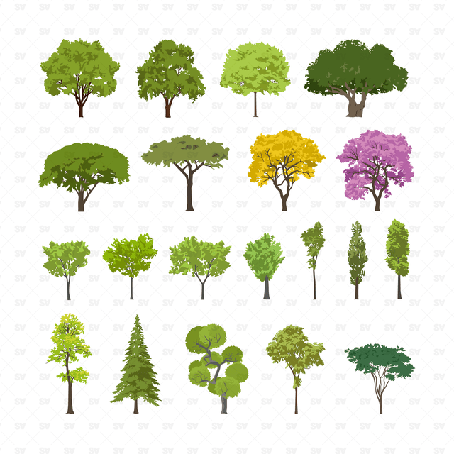 vector trees