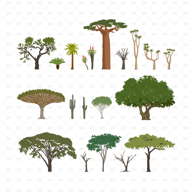 Trees and Plants Set (20 Vectors and PNGs)