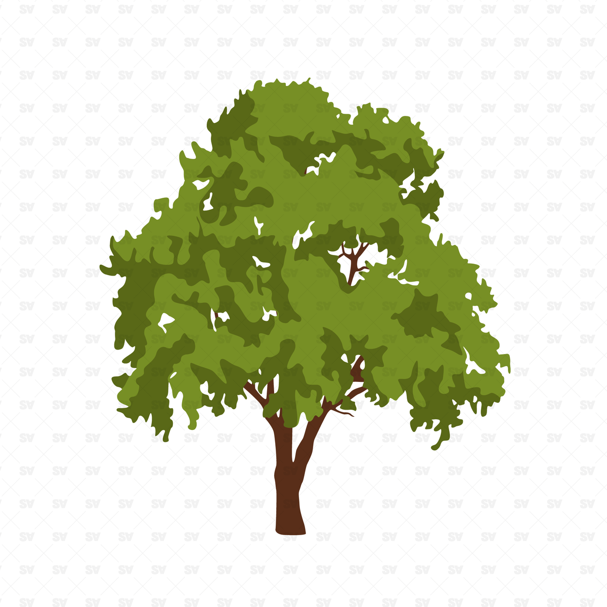 Common Trees Pack - 20 Vector Figures – Studio Alternativi