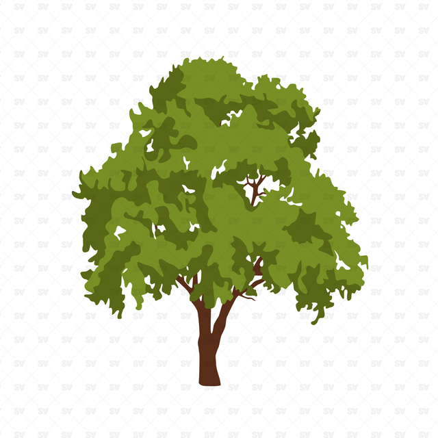 vector trees