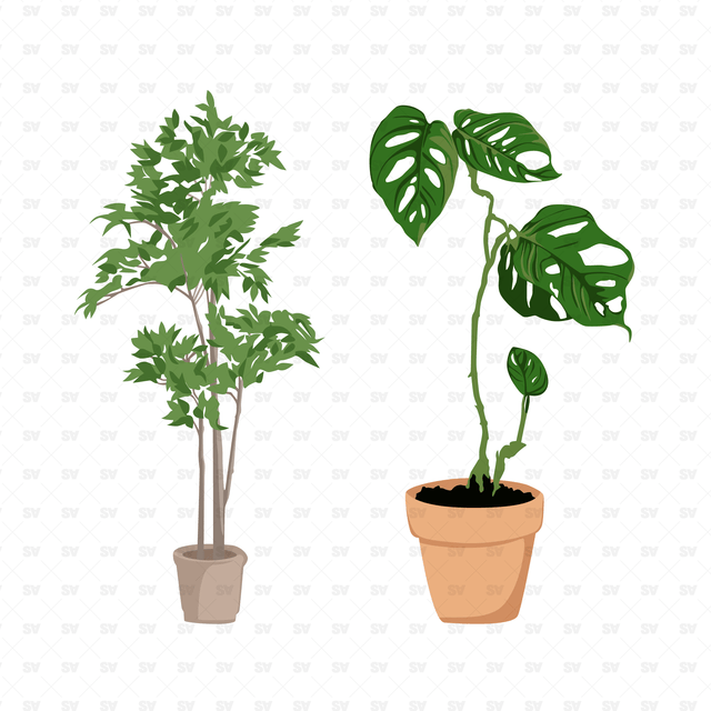 Flat Vector Indoor Plants