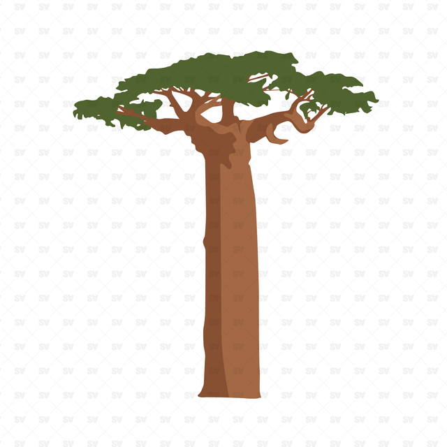 Trees and Plants Set (20 Vectors and PNGs)