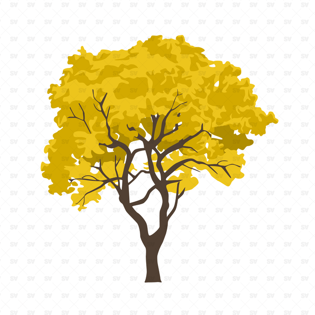 vector trees