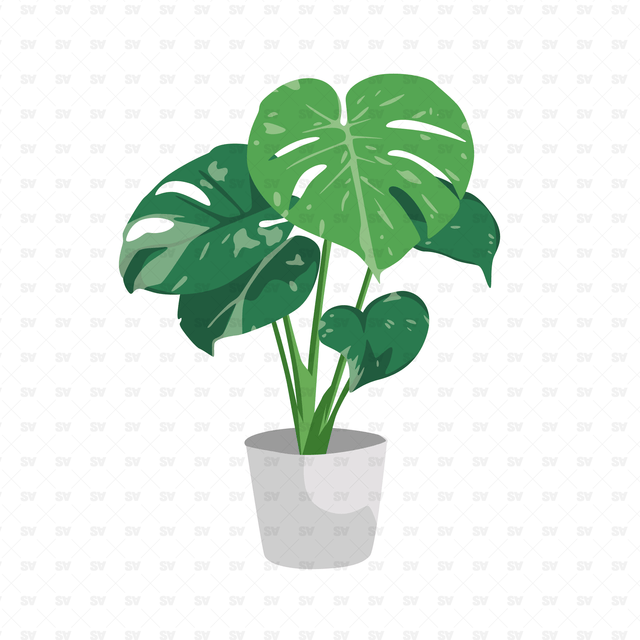 Flat Vector Indoor Plants