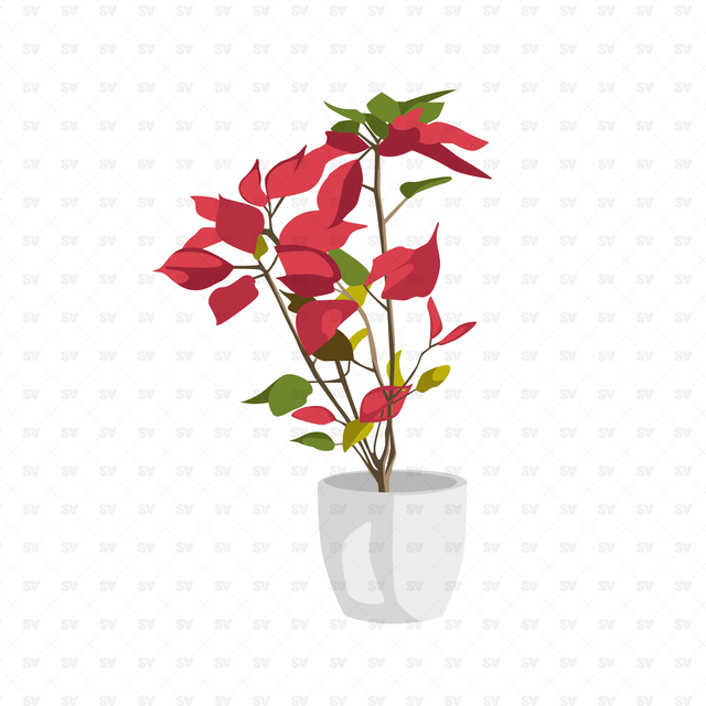 Flat Vector Indoor Plants