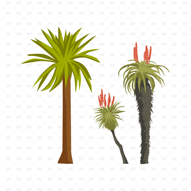 Trees and Plants Set (20 Vectors and PNGs)