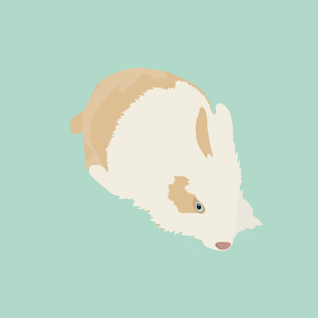 flat vector rabbit