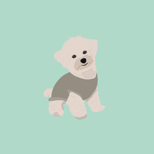 flat vector dog puppy 