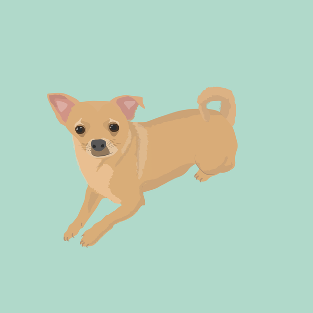 flat vector dog puppy 