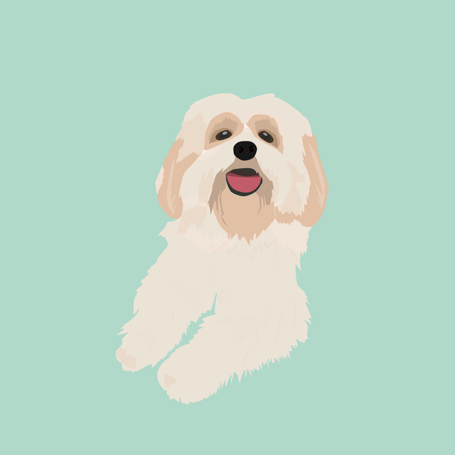 flat vector dog puppy 