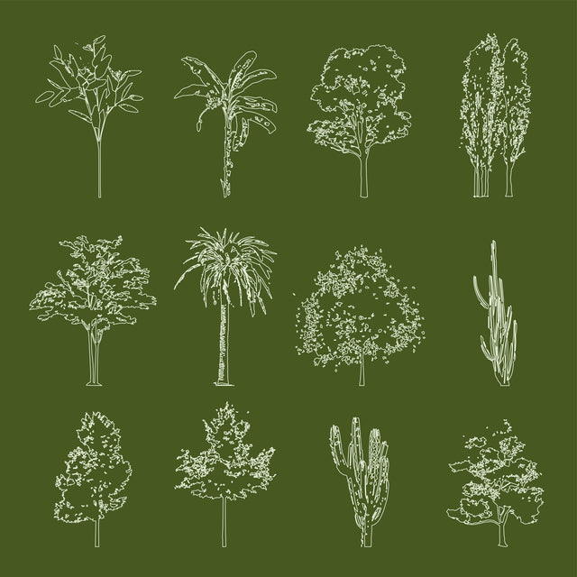 Vector Trees in Plan and Elevation (56 Trees)-Vectors-Studio Alternativi