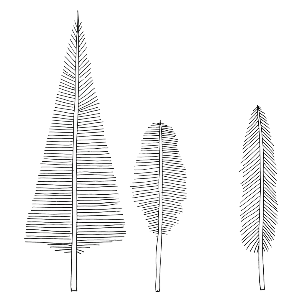 Feather Tree Examples Feather Trees With Leaves