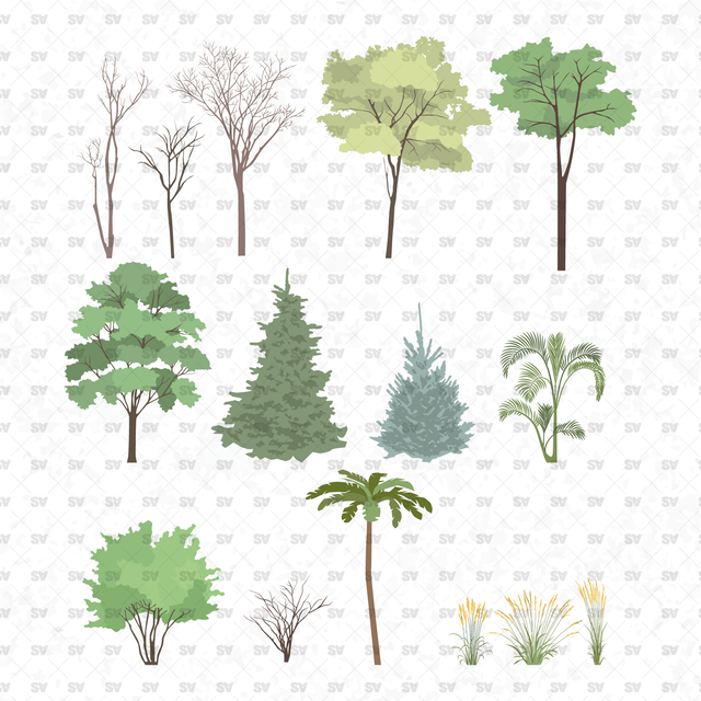 Flat Vector Trees & Plants